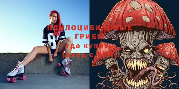 ешки Каменка