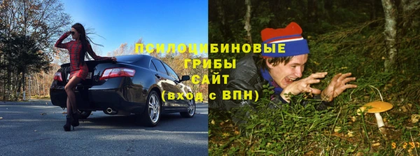 Альфа ПВП Каменногорск