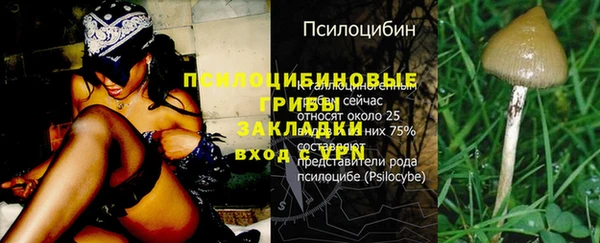 Альфа ПВП Каменногорск