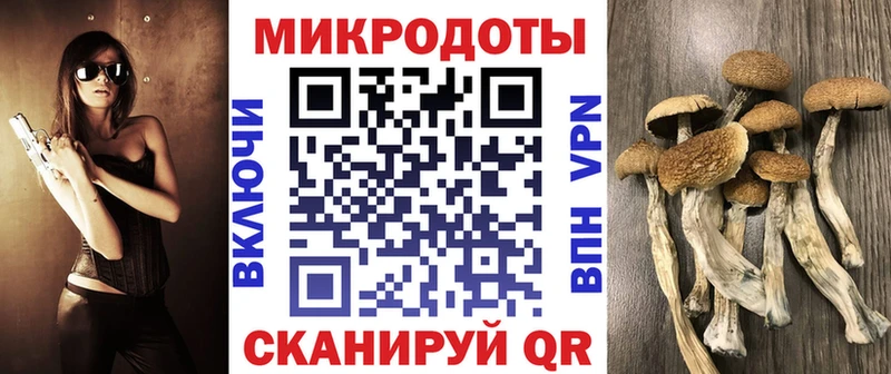 Псилоцибиновые грибы мухоморы  Купить закладки  Аша 